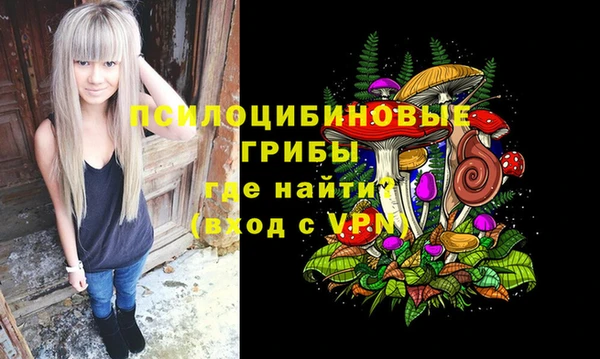 соль ск Ладушкин