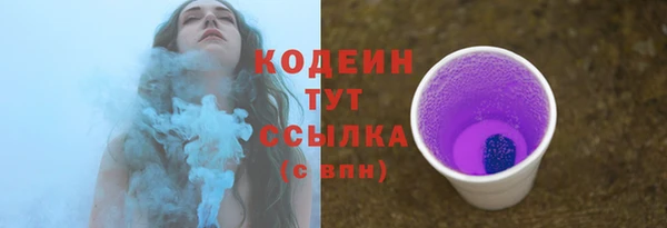 винт Лабытнанги