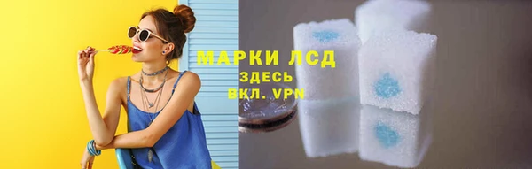 винт Лабытнанги