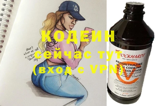 винт Лабытнанги